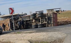 Harran’da Pamuk Yüklü Kamyon Şarampole Devrildi