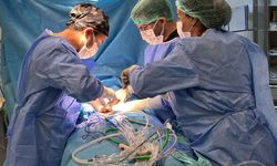 Rektum Kanseri Laparoskopik Yöntemle Başarıyla Tedavi Edildi.