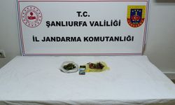 Şanlıurfa Jandarmasından Uyuşturucuya Büyük Darbe