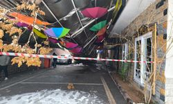 Yoğun Kar Sonrası Suruç Sanat Sokağı Çöktü