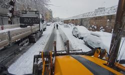 Eyyübiye’de Karla Mücadele Geceden Başladı