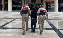 Şanlıurfa Jandarması Aranan Şahsı Kıskıvrak Yakaladı