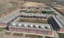 Hasan Şıldak: Şanlıurfa’da Sahipsiz Hayvan Sorunu Tarihe Karıştı