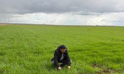 Şanlıurfa’da Bereket Yağmuru