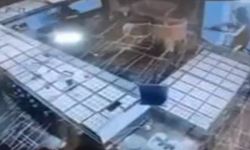 Şanlıurfa’da Kuyumcu Soygunu Kamerada