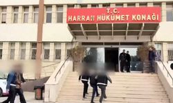 Harran’da Telefon Dolandırıcılığı Operasyonu: 20 Milyonluk Vurgun