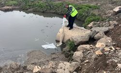 Viranşehir’de Larva ile Mücadele Başladı: Hedef Daha Sağlıklı Bir Yaz