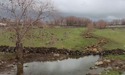 Kuraklık Yerini Berekete Bıraktı: Karahisar Çayı Yıllar Sonra Yeniden Akıyor