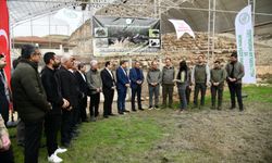 Kelaynaklar doğaya salındı