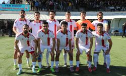 Viranşehir Belediyespor zirvedeki yerini korudu