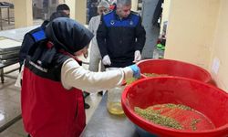 Haliliye’de Gıda Denetimi: Küflü Cevizlere El Konuldu