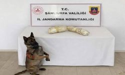 Birecik’te 2 Adrese Baskın: Jandarma Bakın Ne Buldu