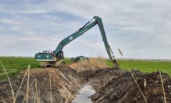 Harran Ovası’nda sulama öncesi kritik temizlik