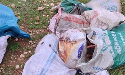 Eyyübiye'de Çuvaldan Kesilmiş At Başı Bulundu