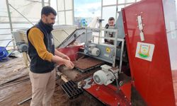 Şanlıurfa Büyükşehir Belediyesi 1 Milyon Fide Üretiyor