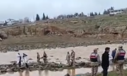 Viranşehir’de Dere Yatağında Erkek Cesedi Bulundu