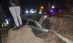 Akçakale'de otomobil şarampole devrildi, 2 yaralı