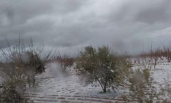 Dolu Yağışı, Şanlıurfa'nın 3 İlçesinde Hayatı Olumsuz Etkiledi