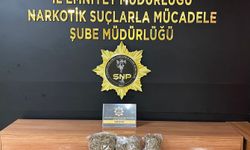 Şanlıurfa'da 2,7 kilo skunk maddesi ele geçirildi