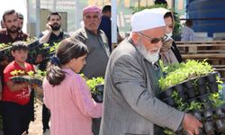 Büyükşehir, 1 Milyon Fide Dağıtarak Üreticiyi Destekledi