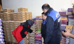 Haliliye’de Sağlıksız Depoya Baskın: 5 Bin Koli Yumurta İmha Edildi