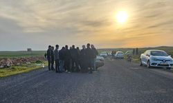 Harran’da Trafik Kazası: Ekipler Seferber Oldu
