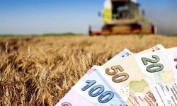 Çiftçilere 12 Milyar 771 Milyon 632 Bin TL’lik Destek