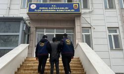 Suruç’ta Operasyon: Aranan Şahıs Kıskıvrak Yakalandı