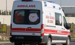 Şanlıurfa’da Kamyon ile Otomobil Çarpıştı: 1 Yaralı