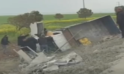 Ceylanpınar-Viranşehir Yolu’nda Feci Kaza: 4 İşçi Yaralandı