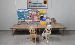 Şanlıurfa’da Kaçakçılığa Darbe! Tonlarca Ürün Ele Geçirildi