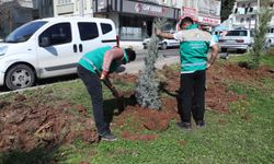 Haliliye’de Yaz Öncesi Parklarda Hummalı Çalışma