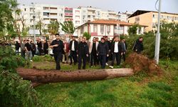 Birecik’te Fırtına Can Aldı: 1 Kişi Hayatını Kaybetti