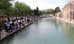 Tatil Fırsatı Balıklıgöl’e Taştı: Urfa’da Yoğunluk Rekor Kırdı