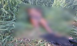 Akçakale’de Dehşet Veren Olay: Kayıp Şahsın Cesedi Bulundu
