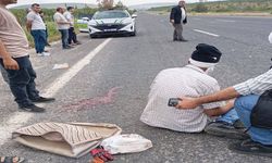 Şanlıurfa-Bozova Yolunda Feci Kaza! Motosiklet Sürücüsü Yaralandı