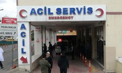 Şanlıurfa’da Sözlü Tartışma Kavgaya Dönüştü