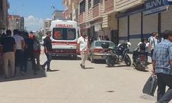 Viranşehir’de Taşlı ve Sopalı Kavga: 4 Yaralı