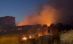 Şanlıurfa’da Anız Yangını Operasyonu! 14 Kişi Gözaltına Alındı