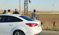 Şanlıurfa’da Korku Dolu Anlar! Elektrik Direğinde Asılı Kaldı
