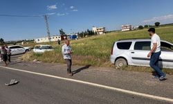 Bozova’da Trafik Kazası! İki Araç Kontrolden Çıktı
