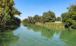 Şanlıurfa’da Sessiz Güzellik Gündemde: Edene Göleti İçin Yeni Plan