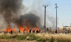 Şanlıurfa’da Buğday Tarlası Alev Alev Yandı! Onlarca Dönüm Kül Oldu