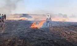 Harran’da Alevlere Karşı İnsan Zinciri! Kadın, Çocuk Herkes Seferber Oldu