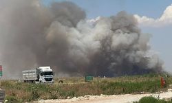 Şanlıurfa’da Tehlike Büyüyor! O Duman Sürücülere Zor Anlar Yaşatıyor