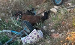 Halfeti’de Feci Kaza: At Arabasına Çarpan Araç 1 Can Aldı