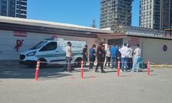 Viranşehir’de Devrilen Traktörün Sürücüsü Öldü