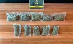 Şanlıurfa'da 2 kilo 600 gram skunk ele geçirildi: 1 tutuklama