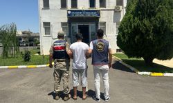 Viranşehir’de Jandarmadan Nokta Operasyon: 2 Hükümlü Yakalandı