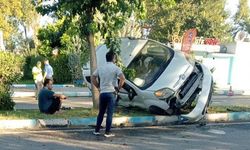 Birecik’te Otomobil Devrildi, Sürücü Yaralandı